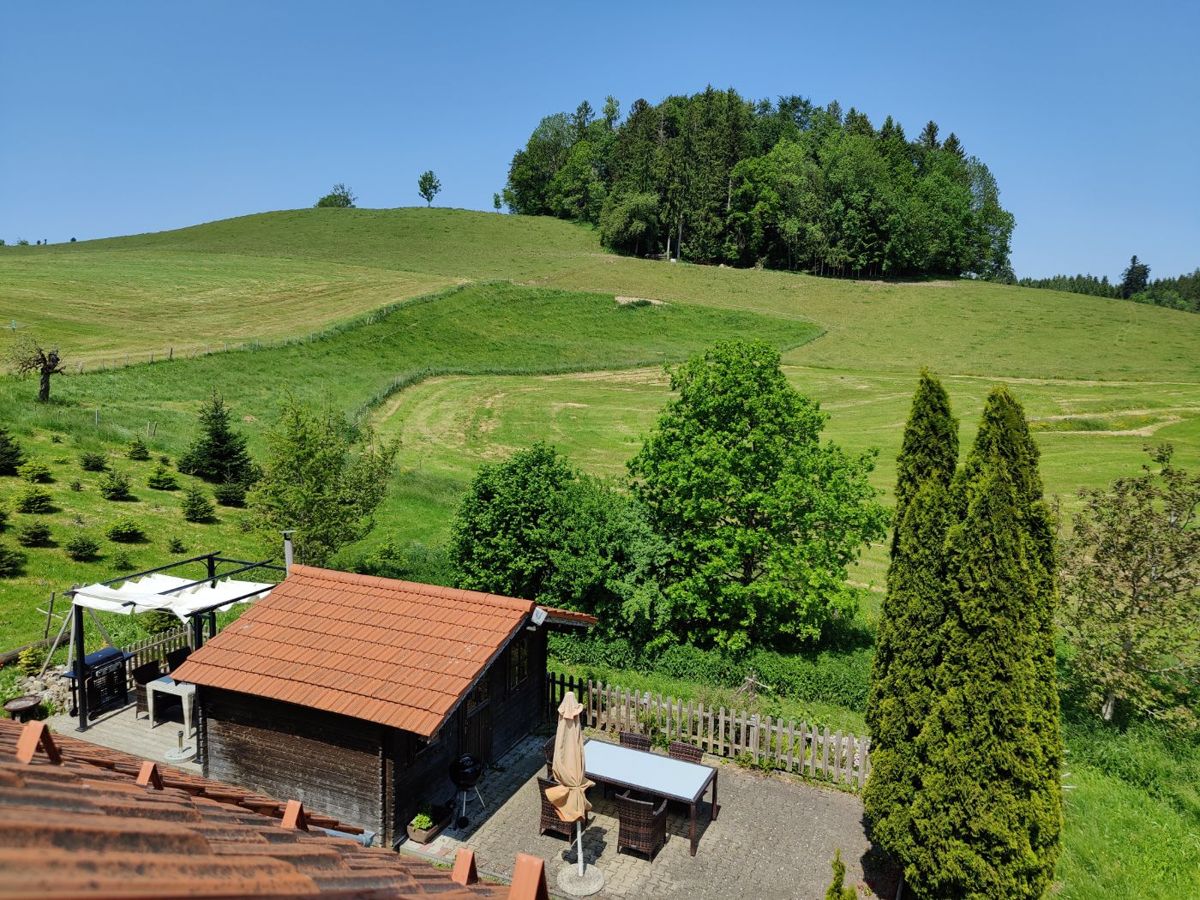 Blick über die Wiesen und Hügel rund um den Burghof